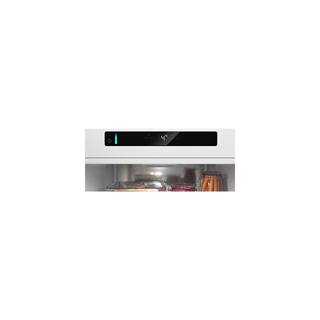 Siemens KS36NVICGG, Free-standing fridge